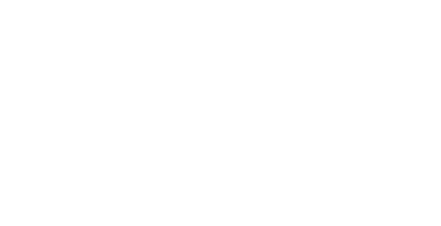 Metatalentum Logo